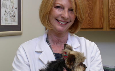 Diet Trials to Diagnose Food Allergy in Pets
